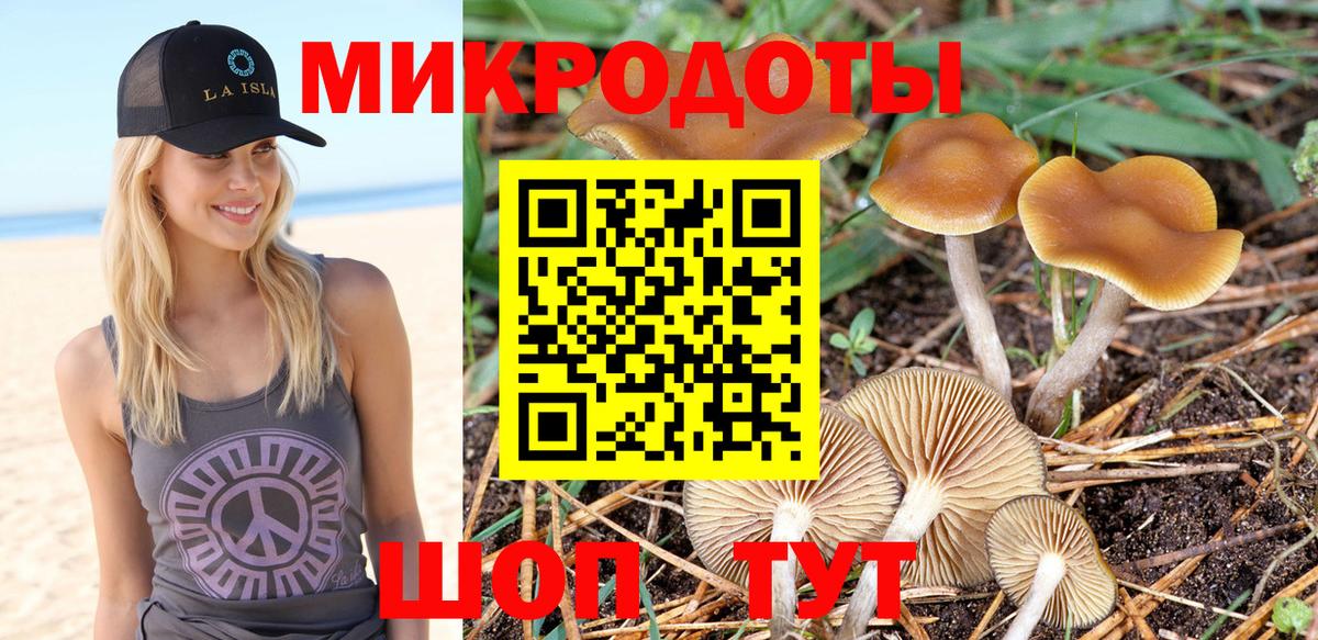Казань  Галлюциногенные грибы Psilocybe  Вход с VPN  Псилоцибиновые грибы ЛСД 